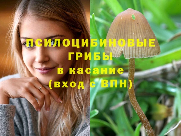 индика Алзамай