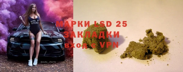 индика Алзамай