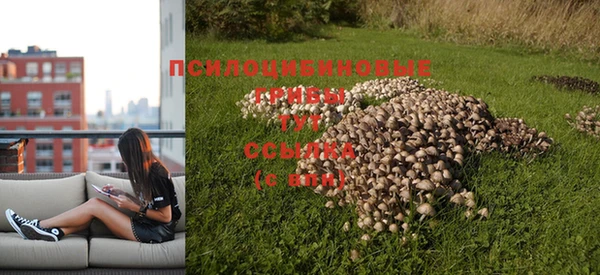 индика Алзамай