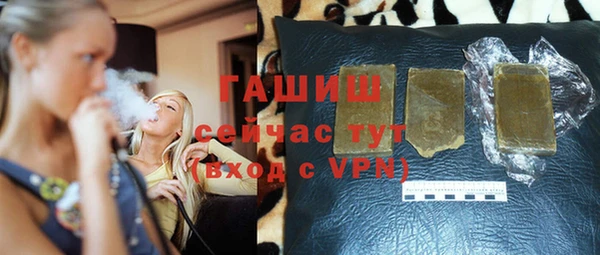 индика Алзамай