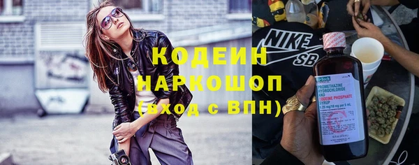 индика Алзамай