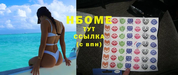 индика Алзамай