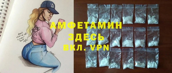 индика Алзамай