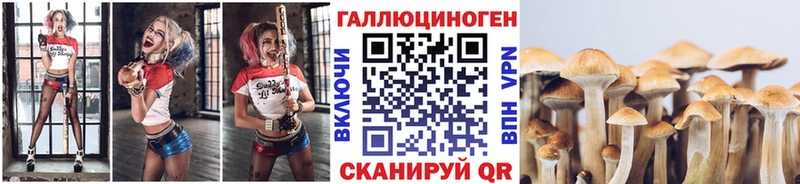omg как войти  купить   Боровск  Галлюциногенные грибы Psilocybe 